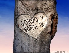 GoRdO Y GoRdA TkK
